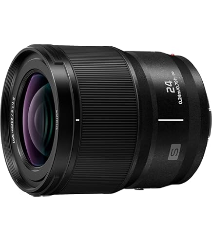 Amazon.com : 24mm F2 DG DN for L-Mount : Electronics